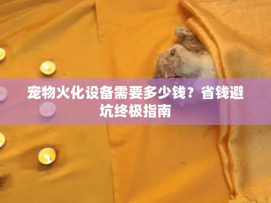 宠物火化设备需要多少钱？省钱避坑终极指南