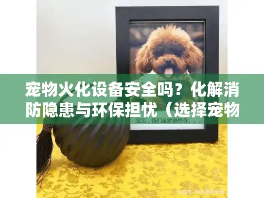 宠物火化设备安全吗？化解消防隐患与环保担忧（选择宠物殡葬服务终极方案）