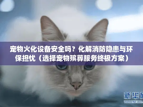 宠物火化设备安全吗？化解消防隐患与环保担忧（选择宠物殡葬服务终极方案）
