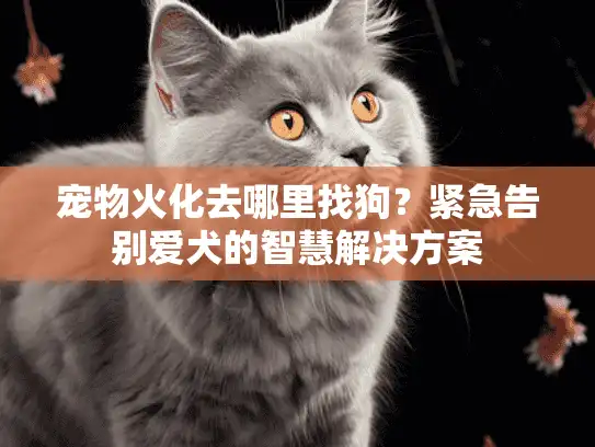 宠物火化去哪里找狗？紧急告别爱犬的智慧解决方案