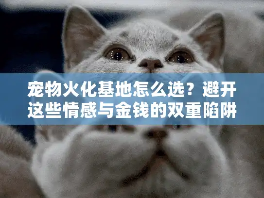 宠物火化基地怎么选？避开这些情感与金钱的双重陷阱！