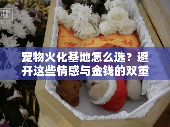 宠物火化基地怎么选？避开这些情感与金钱的双重陷阱！