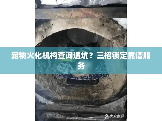 宠物火化机构查询遇坑？三招锁定靠谱服务