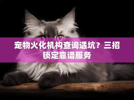 宠物火化机构查询遇坑？三招锁定靠谱服务