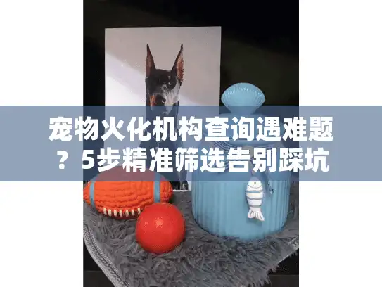 宠物火化机构查询遇难题？5步精准筛选告别踩坑