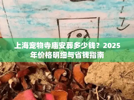 上海宠物寺庙安葬多少钱？2025年价格明细与省钱指南