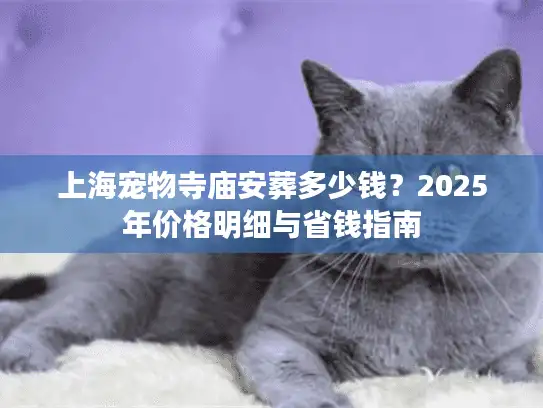 上海宠物寺庙安葬多少钱？2025年价格明细与省钱指南