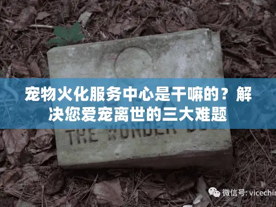 宠物火化服务中心是干嘛的？解决您爱宠离世的三大难题