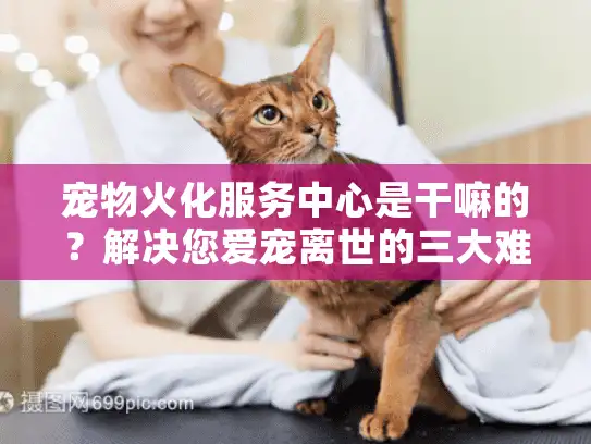 宠物火化服务中心是干嘛的？解决您爱宠离世的三大难题