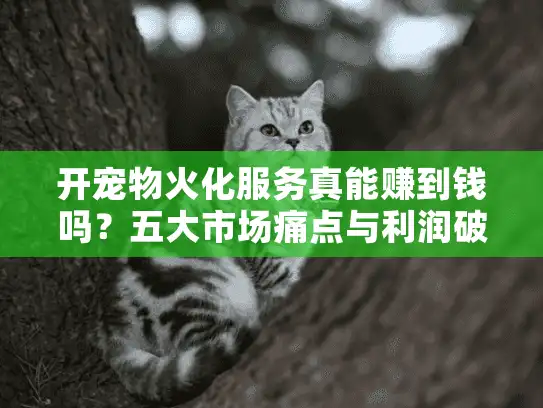 开宠物火化服务真能赚到钱吗？五大市场痛点与利润破解方案