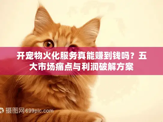 开宠物火化服务真能赚到钱吗？五大市场痛点与利润破解方案