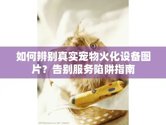 如何辨别真实宠物火化设备图片？告别服务陷阱指南