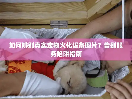 如何辨别真实宠物火化设备图片？告别服务陷阱指南