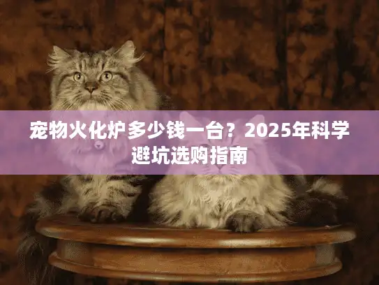 宠物火化炉多少钱一台？2025年科学避坑选购指南