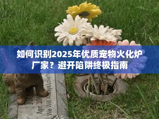 如何识别2025年优质宠物火化炉厂家？避开陷阱终极指南