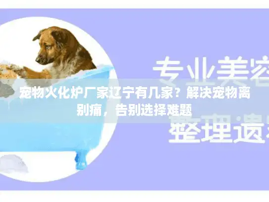 宠物火化炉厂家辽宁有几家？解决宠物离别痛，告别选择难题
