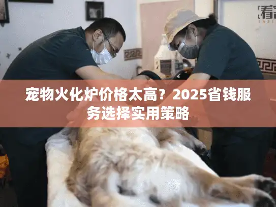宠物火化炉价格太高？2025省钱服务选择实用策略