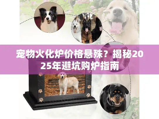 宠物火化炉价格悬殊？揭秘2025年避坑购炉指南