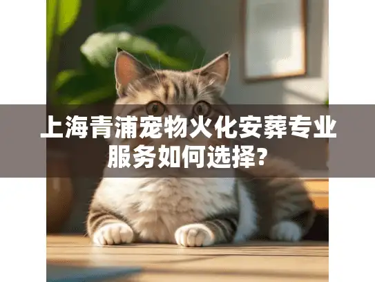 上海青浦宠物火化安葬专业服务如何选择?