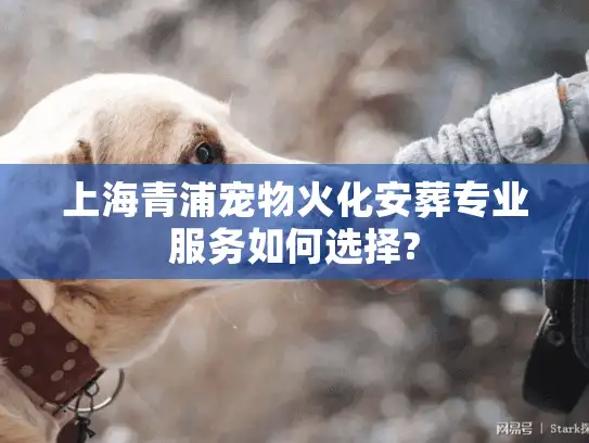 上海青浦宠物火化安葬专业服务如何选择?