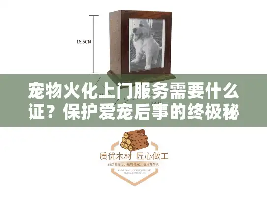 宠物火化上门服务需要什么证？保护爱宠后事的终极秘籍