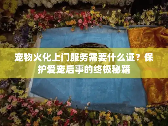 宠物火化上门服务需要什么证？保护爱宠后事的终极秘籍
