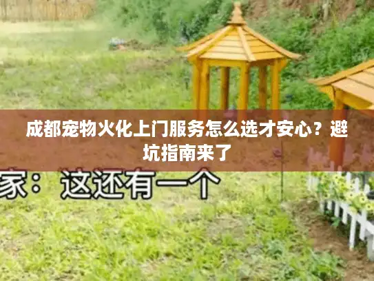 成都宠物火化上门服务怎么选才安心？避坑指南来了