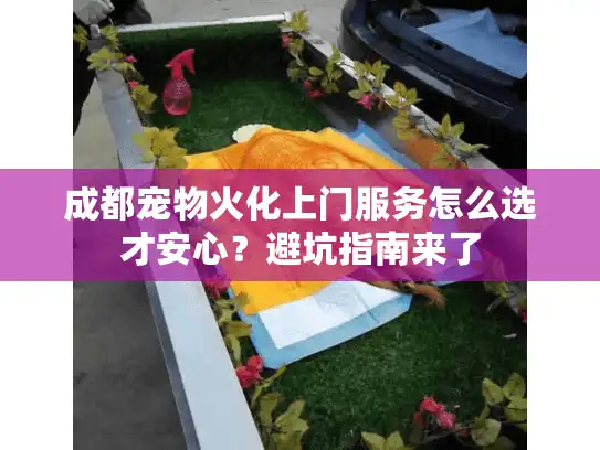 成都宠物火化上门服务怎么选才安心？避坑指南来了