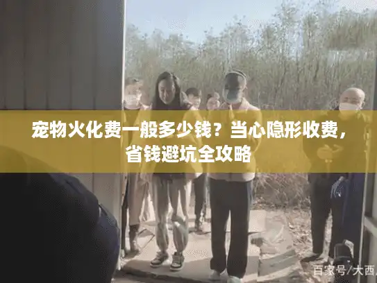 宠物火化费一般多少钱？当心隐形收费，省钱避坑全攻略