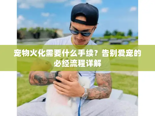 宠物火化需要什么手续？告别爱宠的必经流程详解