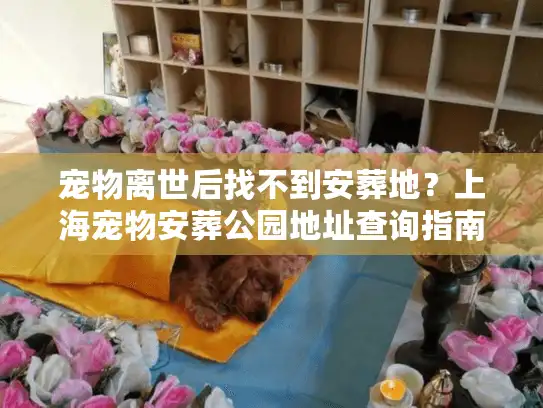 宠物离世后找不到安葬地？上海宠物安葬公园地址查询指南