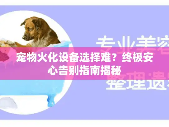 宠物火化设备选择难？终极安心告别指南揭秘