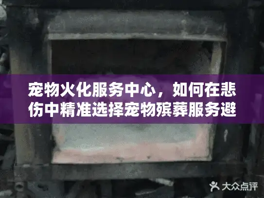 宠物火化服务中心，如何在悲伤中精准选择宠物殡葬服务避免陷阱？