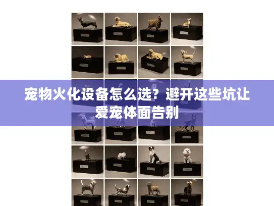 宠物火化设备怎么选？避开这些坑让爱宠体面告别