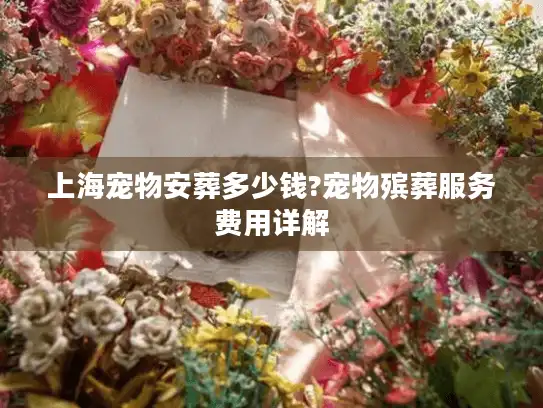 上海宠物安葬多少钱?宠物殡葬服务费用详解