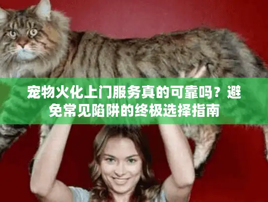 宠物火化上门服务真的可靠吗？避免常见陷阱的终极选择指南