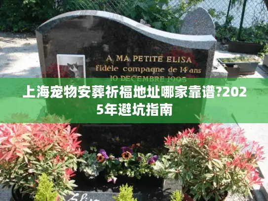 上海宠物安葬祈福地址哪家靠谱?2025年避坑指南