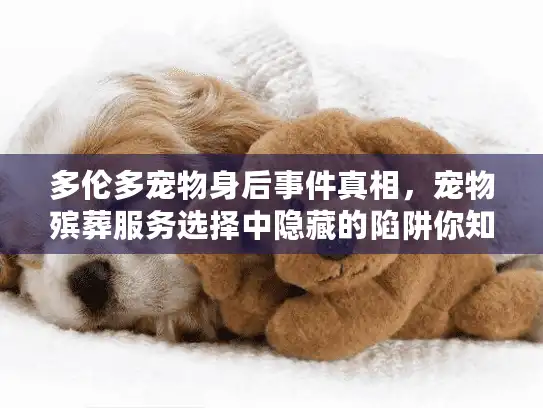 多伦多宠物身后事件真相，宠物殡葬服务选择中隐藏的陷阱你知道吗？