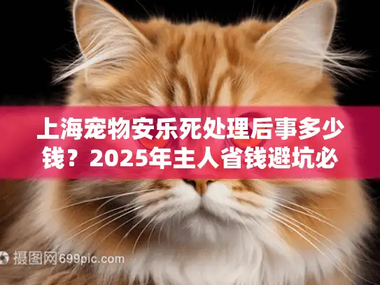 上海宠物安乐死处理后事多少钱？2025年主人省钱避坑必读指南