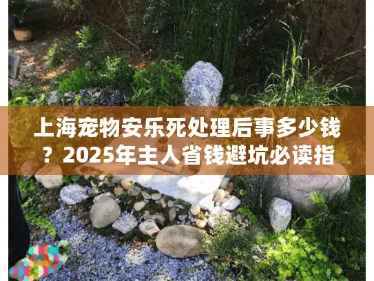 上海宠物安乐死处理后事多少钱？2025年主人省钱避坑必读指南