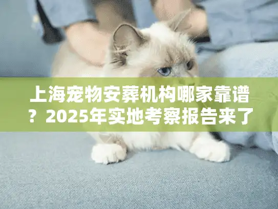 上海宠物安葬机构哪家靠谱？2025年实地考察报告来了