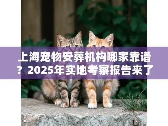 上海宠物安葬机构哪家靠谱？2025年实地考察报告来了