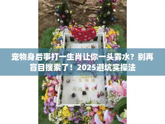 宠物身后事打一生肖让你一头雾水？别再盲目搜索了！2025避坑实操法