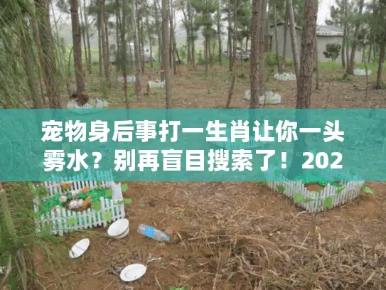 宠物身后事打一生肖让你一头雾水？别再盲目搜索了！2025避坑实操法