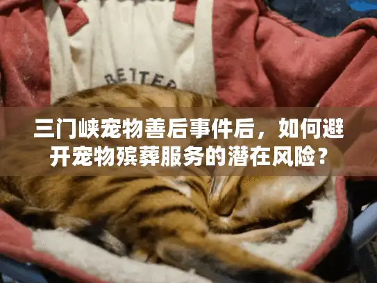 三门峡宠物善后事件后，如何避开宠物殡葬服务的潜在风险？