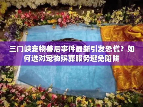 三门峡宠物善后事件最新引发恐慌？如何选对宠物殡葬服务避免陷阱