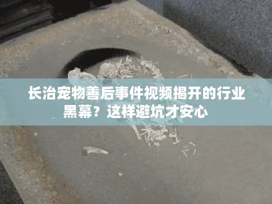长治宠物善后事件视频揭开的行业黑幕？这样避坑才安心
