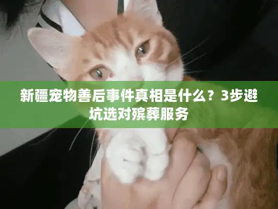 新疆宠物善后事件真相是什么？3步避坑选对殡葬服务