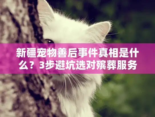 新疆宠物善后事件真相是什么？3步避坑选对殡葬服务