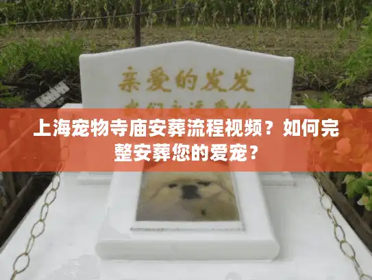 上海宠物寺庙安葬流程视频？如何完整安葬您的爱宠？